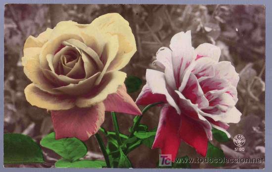 Postais: TARJETA POSTAL ANTIGUA DE FLORES.