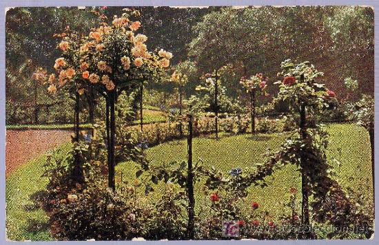Postais: TARJETA POSTAL ANTIGUA DE FLORES.