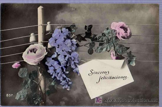 Postais: TARJETA POSTAL ANTIGUA DE FLORES.