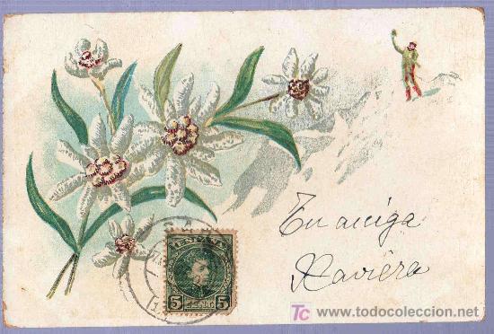 Postais: TARJETA POSTAL ANTIGUA DE FLORES. REVERSO NO DIVIDIDO