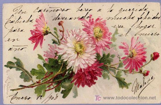 Postais: TARJETA POSTAL ANTIGUA DE FLORES. REVERSO NO DIVIDIDO