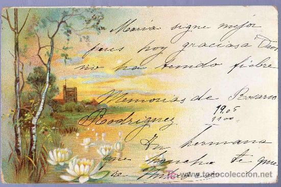 Postais: TARJETA POSTAL ANTIGUA DE FLORES. REVERSO NO DIVIDIDO