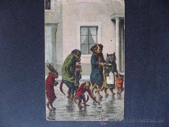 Postais: BONITA Y DIVERTIDA POSTAL ESCRITA EN EL A&Ntilde;O 1909 SIN CIRCULAR,.ZOO DOMESTICO.
