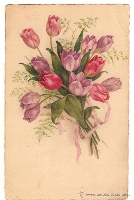 Postales: 6075 - ANTIGUA POSTAL RAMILLETE DE TULIPANES A.G..B N&ordm; 3530