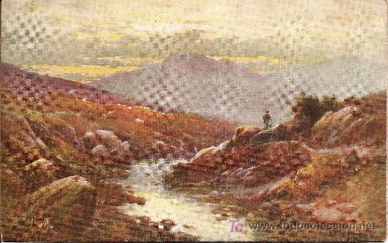 Cartoline: PAISAJE FIRMADO EN CARTON DURO