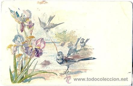 Cartoline: 8519 - LA LAGUNA UN PRECIOSO REFUGIO DE FLORES Y P&Aacute;JAROS -ANTIGUA POSTAL - DEPOSITO 4263