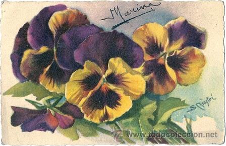 Postais: 8753 - JOAQUIN DICENTA - INTERESANTE POSTAL ILUSTRADA POR S. CHIOSTRI- EDIC.BALLERINI & FRATINI- 326