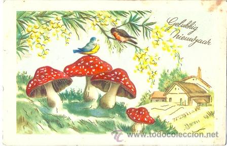 Postais: 8758 - PAISAJE ,SETAS, PAJARITOS PRECIOSA POSTAL IMPRESA EN BELGICA- DETALLES EN DORADO CIRCA 1957