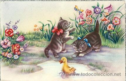 Postais: 8755 - GATITOS, PATITO - ANTIGUA Y ENCANTADORA POSTAL EDICIONES CyZ SERIE 563