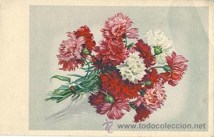 Postais: 8775 - CLAVELES - PRECIOSA POSTAL EDICIONES AMAG SERIE 747
