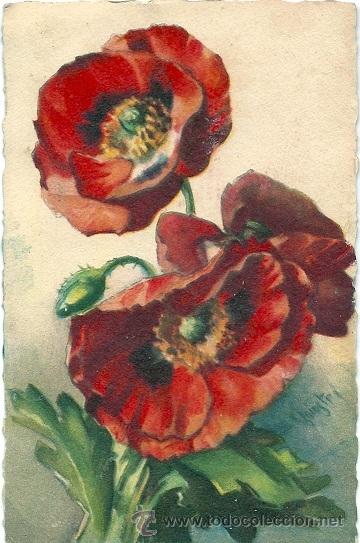 Postais: 0700F - ANTIGUA POSTAL - AMAPOLAS - EDITORIAL BALLERINI & FRATINI N&ordm; 322 - 14x9 cm -ILUSTRA CHIOSTRI