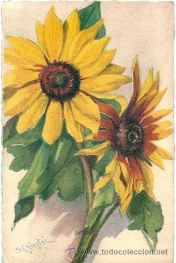 Postais: 0734G -CHIOSTRI - GIRASOLES- EDIC.BALLERINI & FRATINI - P. RESERVADA N&ordm; 325 - ILUSTRA S. CHIOSTRI