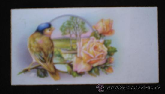 Postales: 6044Y -VIVES - ANTIGUA Y PRECIOSA TARJETA EDICIONES CYZ SERIE 501.A - 8X4 CM - CANTOS DORADOS -