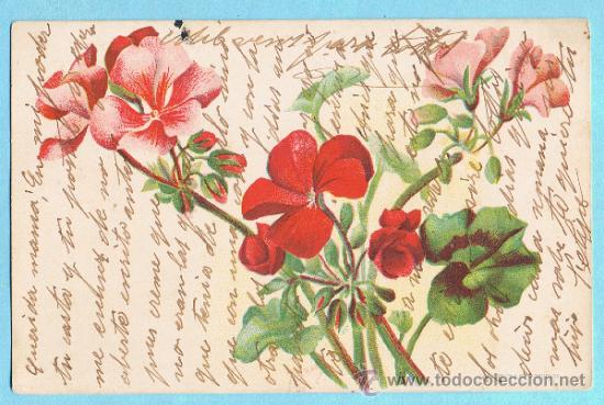 flores (geranios). imp f. pech & cie. bordeaux. - Buy Antique postcards of  drawings and caricatures on todocoleccion