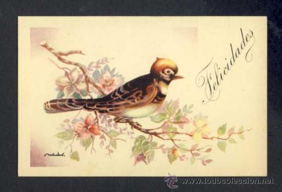 Postais: Postal ilustrada por NIUBO: Felicidades. Pajaro (CMB serie 115)