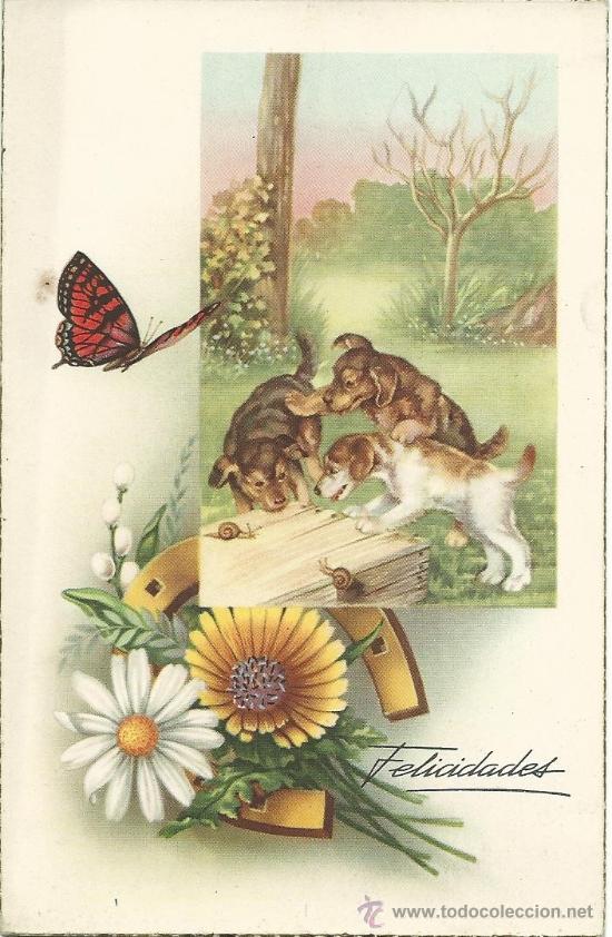 Postales: POSTAL EDICIONES CYZ 532 / SIN FRANQUEAR PERO ESCRITA AL DORSO