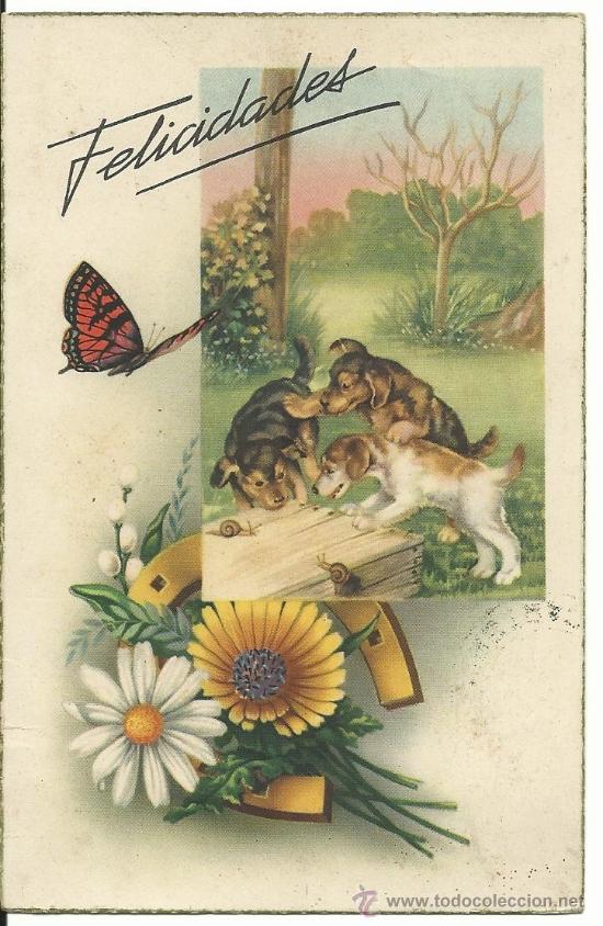 Postkarten: POSTAL EDICIONES CYZ 532