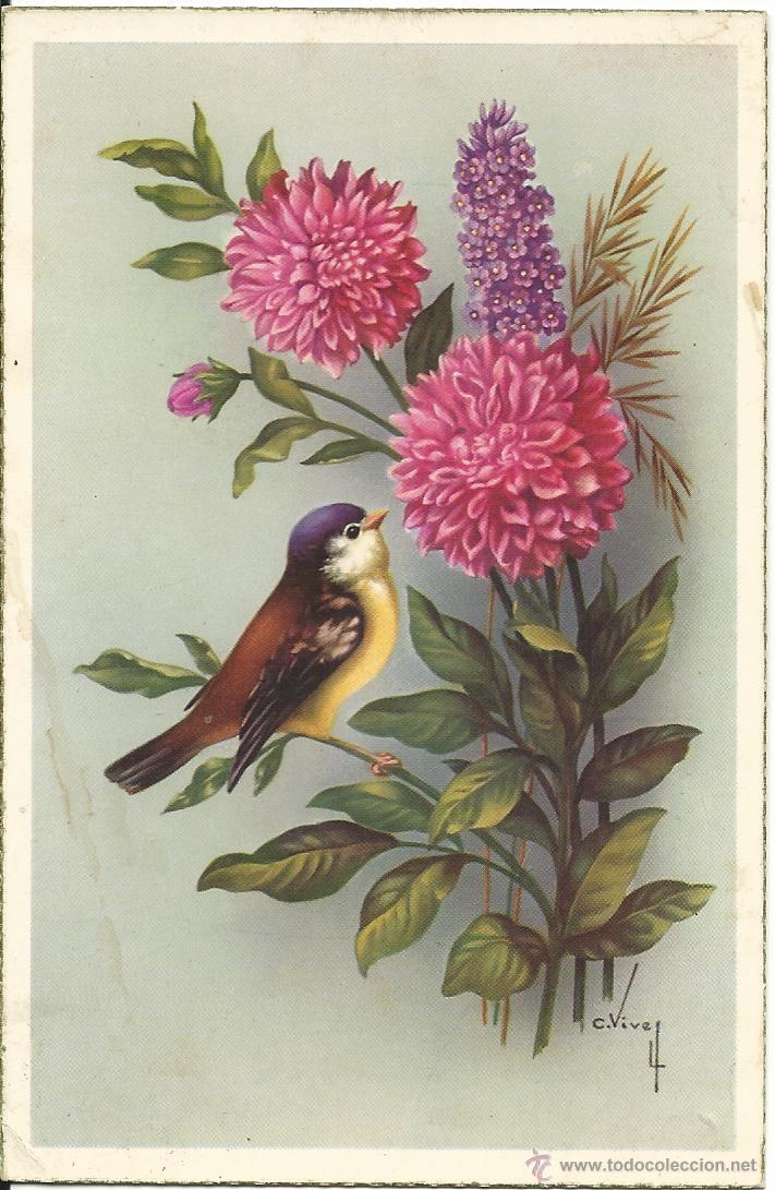 Postales: POSTAL EDICIONES CYZ 549/A / ILUSTRA C. VIVES