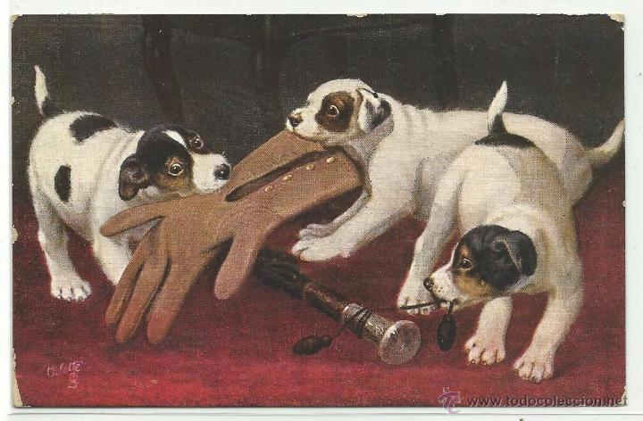 Postales: POSTAL EDICION RAPHAEL TUCK & SONS .- WHEN DOGS ARE PUPPIES N&ordm; 9362