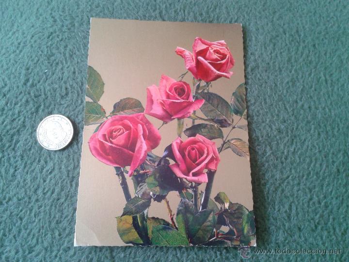 Cartoline: BONITA POSTAL FLOR FLORES ROSAS CLAVELES ESCRITA Y CIRCULADA EN 1973 CON SELLO. CECAMI