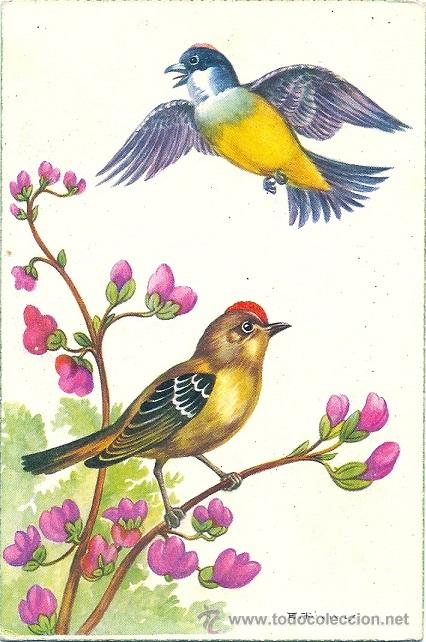 Postales: 0627J - ANTIGUA POSTAL - CREACIONES FREIXAS SERIE 331