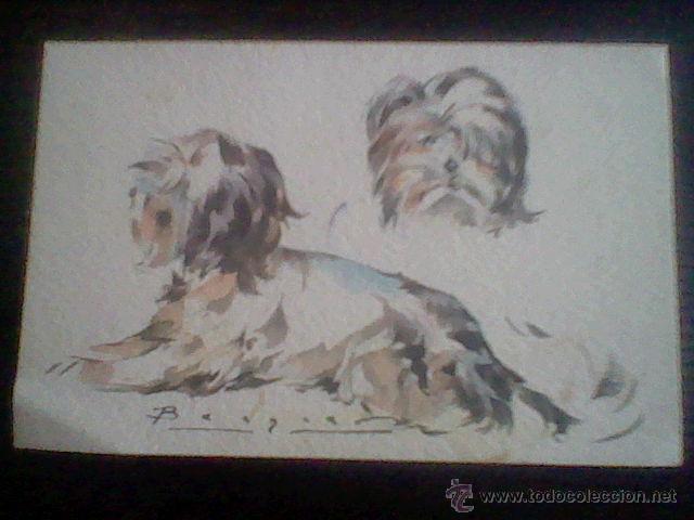 Postales: postal circulada antigua con ilustracion serie perros Becquer *B22