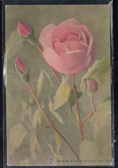 Cartes Postales: TARJETA POSTAL DE FLORES ROSAS.