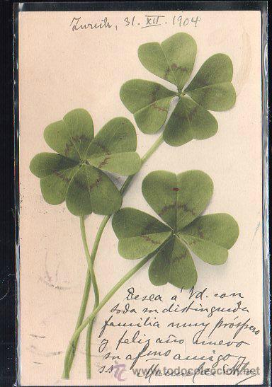 Postkarten: TARJETA POSTAL DE FLORES. STUTTGART 525