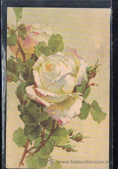 Postkarten: TARJETA POSTAL DE FLORES. N&ordm; 4845 SERIE 310