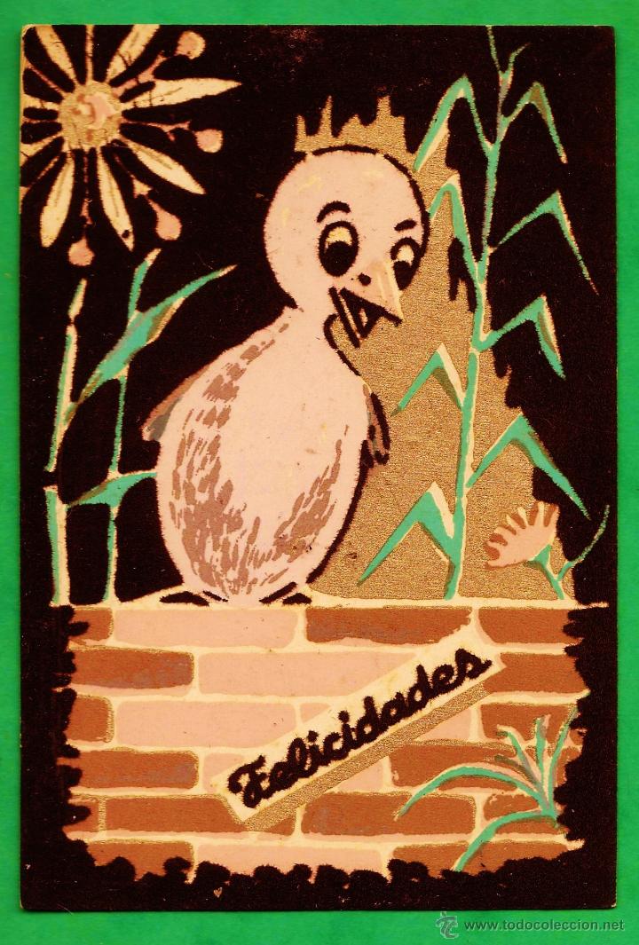 Cartoline: postal - polluelo / pollito - tela terciopelo - n&ordm; s/n - fosforita - ed, aromi - nueva - a&ntilde;os 40 /50