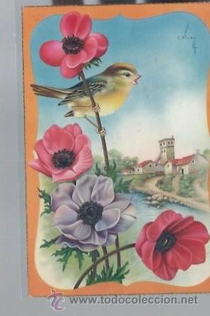 Cartoline: TARJETA POSTAL DE FLORES, C.VIVES 508/B
