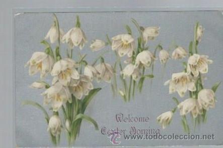 Postkarten: TARJETA POSTAL DE FLORES, WELCOME, GERMANY