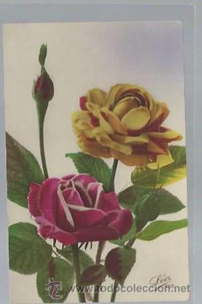 Cartoline: TARJETA POSTAL DE FLORES, LEO 552