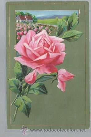 Cartoline: TARJETA POSTAL DE FLORES, ESCRITA NO CIRCULADA