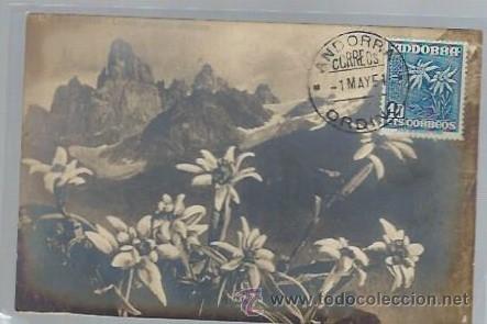 Cartoline: TARJETA POSTAL DE FLORES, 100 EJEMPLARESCON ESTA POSTAL Y MATASELLO, N&ordm; 50