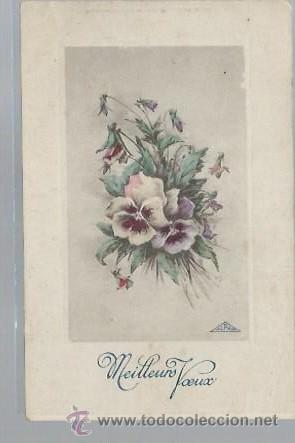 Cartoline: TARJETA POSTAL DE FLORES, MEILLEURS VOEUX, ALPHA