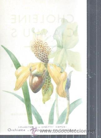 Postkarten: TARJETA POSTAL FLORES, ORCHIDEE CYPRIPEDIUM INSIGNE, COLECCTION DE LA CHOLEINE CAMUS