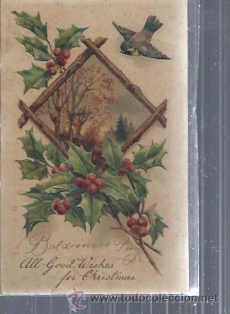 Postkarten: TARJETA POSTAL FLORES, FLORES T&Iacute;PICAS NAVIDE&Ntilde;AS QUE ORLAN UN PAISAJE OTO&Ntilde;AL,RELIEVE, FELICES FIESTAS