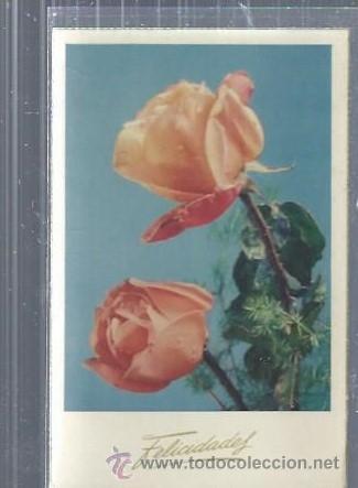 Postais: TARJETA POSTAL FLORES, ROSAS SOBRE FONDO CELESTE 2068