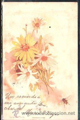 Cartoline: TARJETA POSTAL DE FLORES. MARGARITAS. SERIE 107. N&ordm; 25.