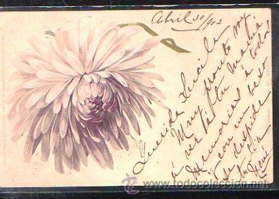 Cartoline: TARJETA POSTAL DE FLORES. M.CARRANZA, HABANA.