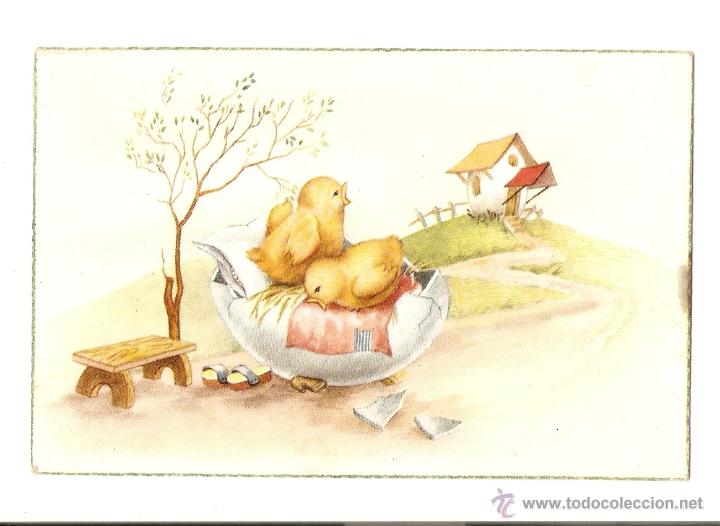Cartes Postales: POSTAL - EDICIONES C Y Z - SERIE 509/A
