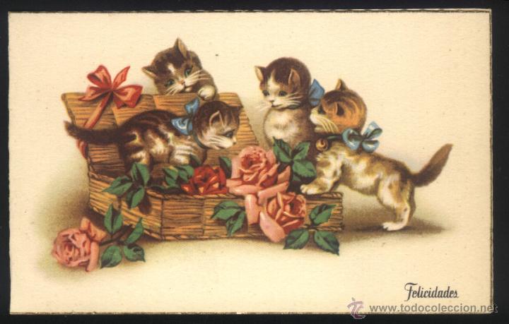 Postcards: A-2012- ANTIGUA POSTAL DE FELICITACI&Oacute;N CON GATITOS