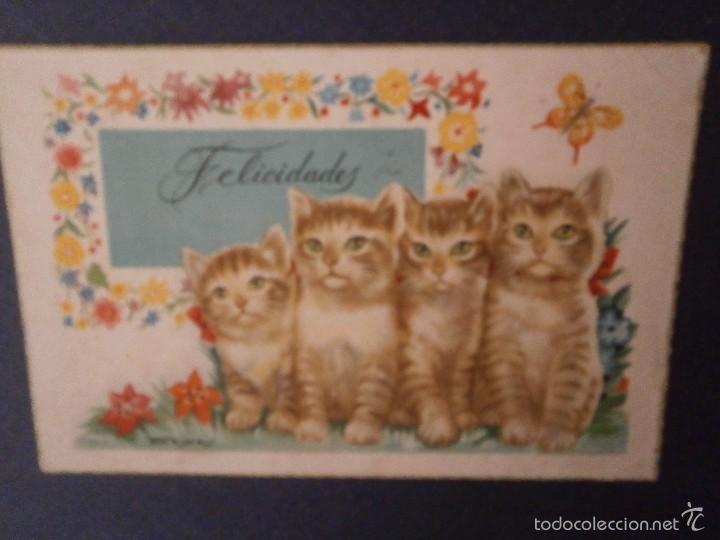 Postais: antigua postal dibujo caritatura gatos escrita