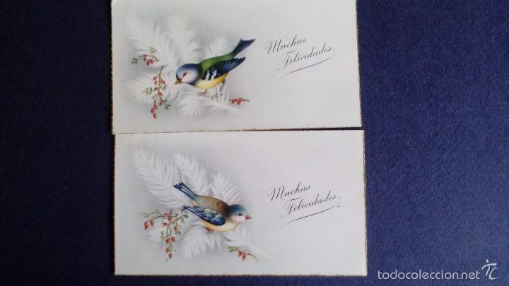 Postais: 2 bonitas postales de pajaros ilustradas escritas a&ntilde;o 1940 - 50