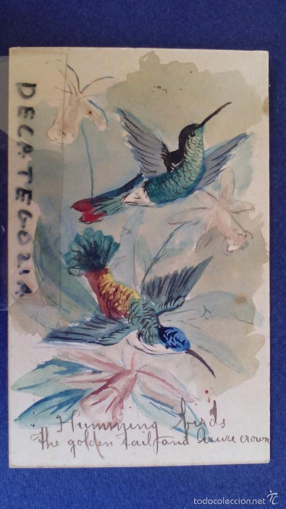 Postais: antigua y rara tarjeta postal pajaros zumbadores escrita
