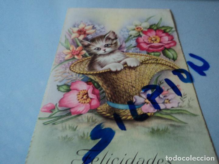 Postkarten: CYZ 566 FELICIDADES dibujo de gato y flores