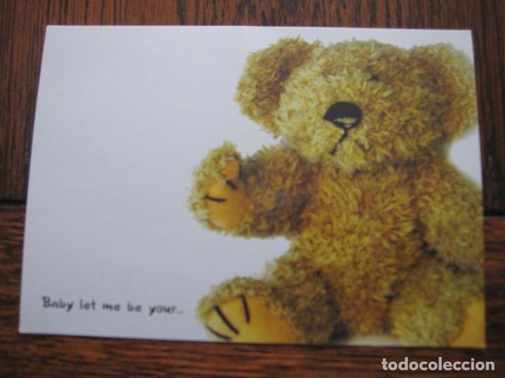 Postales: Postal Teddy Bear - Foto 1