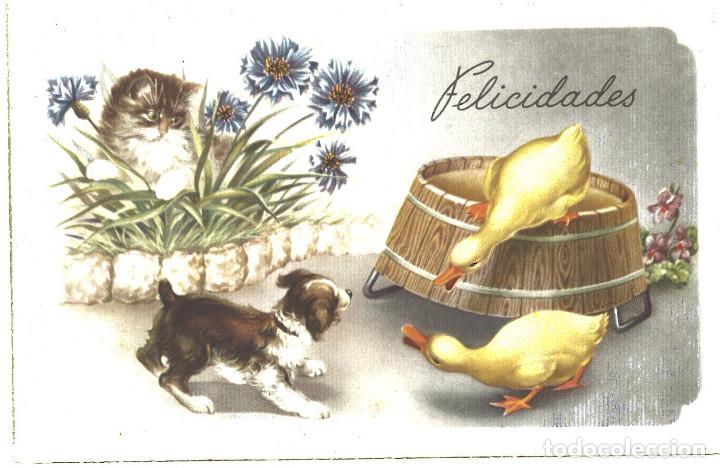 Postales: Felicidades. - Foto 1