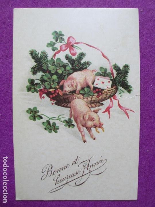 Cartoline: POSTAL, CERDOS CERDITOS, P77